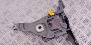 Петля капота правая BMW X5-series (E70) 7148348