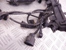 Проводка двигателя BMW 5-series (E39) 12 51 1 433 363
