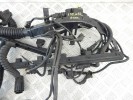 Проводка двигателя BMW 5-series (E39) 12 51 1 744 589