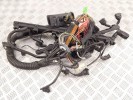 Проводка двигателя BMW 5-series (E39) 12 51 1 433 358