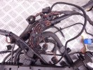 Проводка двигателя BMW 7-series (E65/66) 12 51 7 790 317