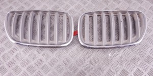 Решетка радиатора BMW X5-series (E53) 51 13 7 124 815