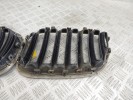 Решетка радиатора BMW X5-series (E53) 51 13 7 113 734