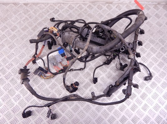 Проводка двигателя BMW X5-series (E70) 12 51 7 810 118 Проводка двигателя BMW X5-series (E70) 12 51 7 810 118