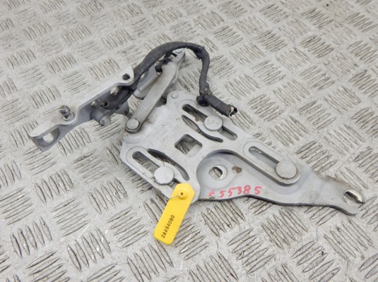 Петля капота правая BMW X5-series (E70) 7148348