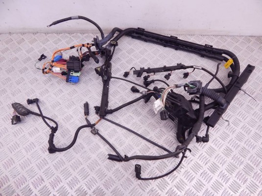Проводка двигателя BMW 1-series (E87) 12 51 7 549 245