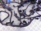 Проводка двигателя BMW 5-series (E60/61) 12 51 7 807 198