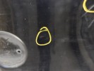 Крышка багажника (дверь 3-5) BMW 5-series (E60/61) 41 62 7 130 799