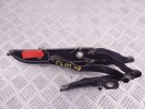 Петля крышки багажника BMW 3-series (E46) 41 62 8 220 073