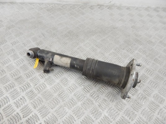 Амортизатор задний BMW X5-series (E70) 33 52 6 782 876