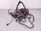 Проводка двигателя BMW 1-series (E87) 12 51 7 796 828