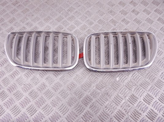 Решетка радиатора BMW X5-series (E53) 51 13 7 124 815 Решетка радиатора BMW X5-series (E53) 51 13 7 124 815