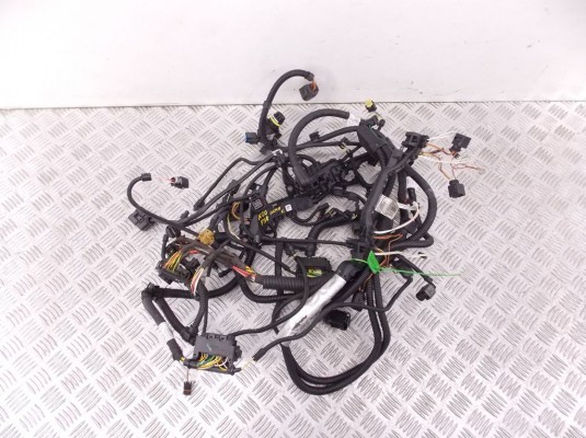 Проводка двигателя BMW 3-series (F30/31) 12 51 8 645 494