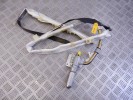 Подушка безопасности боковая (в дверь) передняя левая BMW X5-series (E53) 72 12 8 267 157