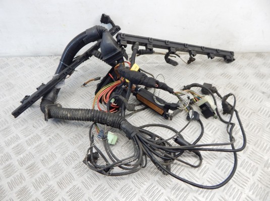 Проводка двигателя BMW 5-series (E39) 12 51 1 744 589