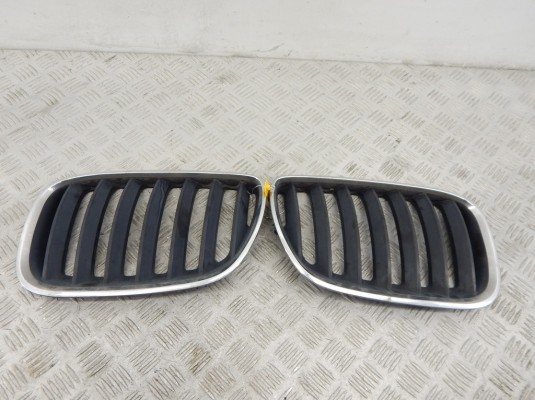 Решетка радиатора BMW X5-series (E53) 51 13 7 113 734