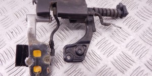 Петля крышки багажника BMW 3-series (E46) 51 24 8 254 016