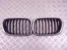 Решетка радиатора BMW X5-series (E53)