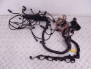 Проводка двигателя BMW 5-series (E39) 12 51 2 249 419