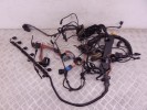 Проводка двигателя BMW X5-series (E70) 12 51 7 803 681