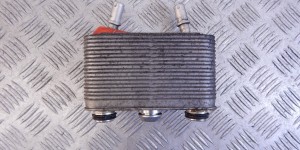 Теплообменник АКПП BMW X5-series (E53) 17 20 7 500 754