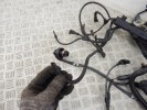 Проводка двигателя BMW X5-series (E70) 12 51 7 566 466