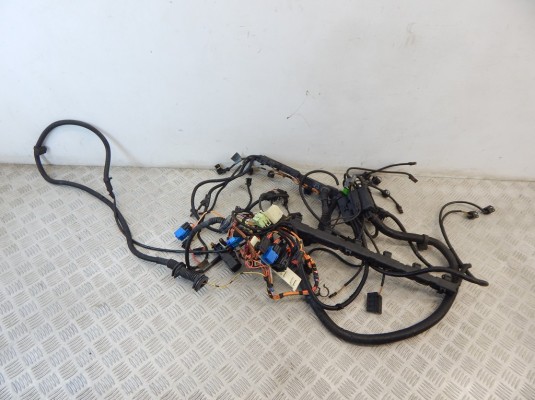 Проводка двигателя BMW 5-series (E60/61) 12 51 7 557 824