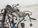 Проводка двигателя BMW 3-series (E46) 12 51 7 503 791