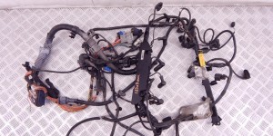 Проводка двигателя BMW X3-series (E83) 12 51 3 451 657 Проводка двигателя BMW X3-series (E83) 12 51 3 451 657