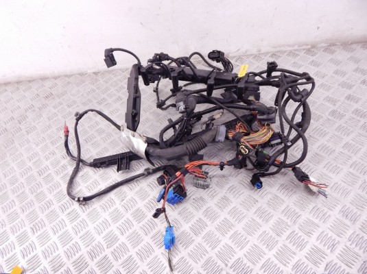 Проводка двигателя BMW 3-series (E90/91/92) 12 51 7 796 079 Проводка двигателя BMW 3-series (E90/91/92) 12 51 7 796 079