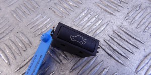 Кнопка открытия багажника BMW X5-series (E53) 61 31 8 365 579