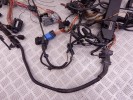 Проводка двигателя BMW X5-series (E70) 12 51 7 803 681
