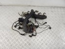 Проводка двигателя BMW 5-series (E39) 12 51 2 246 446