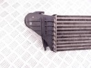 Интеркулер BMW X5-series (E53) 17 51 7 791 231
