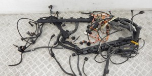 Проводка двигателя BMW X5-series (E70) 12 51 7 566 466