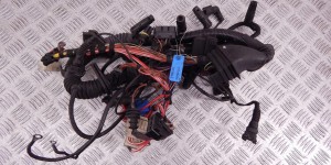 Проводка двигателя BMW 5-series (E39) 12 51 7 785 650