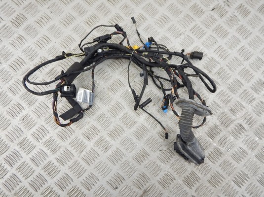 Проводка двери передней правой BMW 7-series (F01/02) 9234121