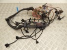 Проводка двигателя BMW 5-series (E39) 12 51 2 249 419