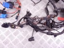 Проводка двигателя BMW 1-series (E87) 12 51 7 796 828