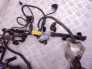Проводка двигателя BMW X3-series (E83) 12 51 3 451 657