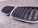 Решетка радиатора BMW X5-series (E53) 51 13 7 113 734