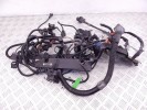 Проводка двигателя BMW X5-series (E70) 12 51 7 806 081