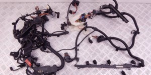 Проводка двигателя BMW 7-series (F01/02) 12 51 8 508 631