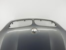 Капот BMW X5-series (E70) 41 61 7 486 754