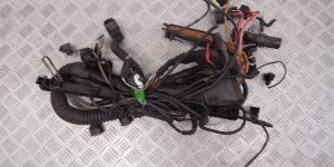 Проводка двигателя BMW 5-series (E39) 12 51 1 433 358