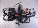 Проводка двигателя BMW X3-series (F25) 12 51 8 516 262