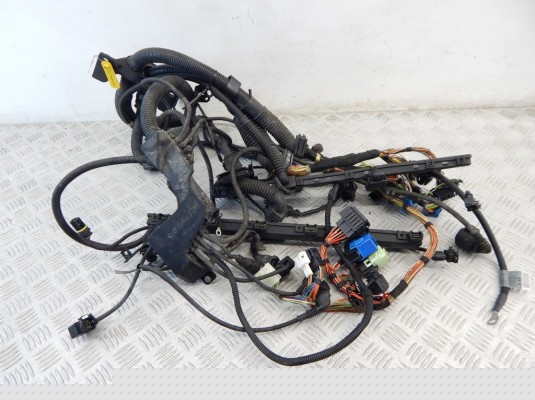 Проводка двигателя BMW X5-series (E53) 12 51 7 531 986