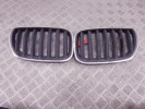 Решетка радиатора BMW X5-series (E53) 51 13 7 113 734