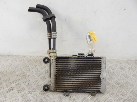 Радиатор масляный BMW X3-series (E83) 17 21 3 448 627