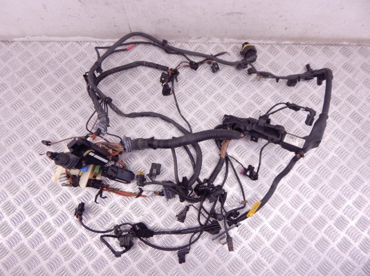 Проводка двигателя BMW 3-series (F30/31) 12 51 8 507 896